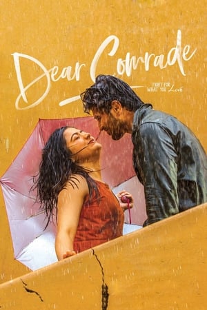 Dear Comrade 2019 (Hindi -Telugu) Dual Audio 720p UnCut HDRip [1.4GB]