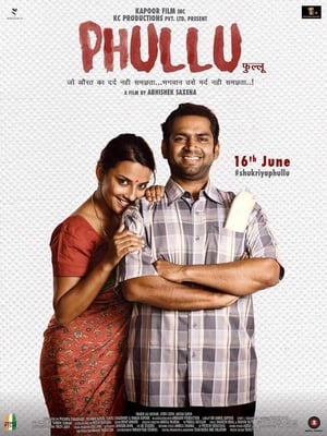 Phullu 2017 300MB Full Movie 480p DTHRip Download